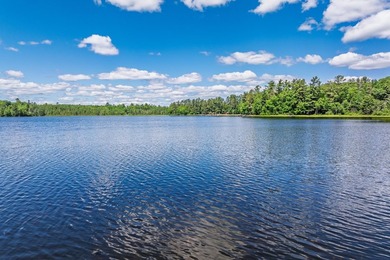 A rare opportunity to own an extraordinary Northwoods retreat - photo 19