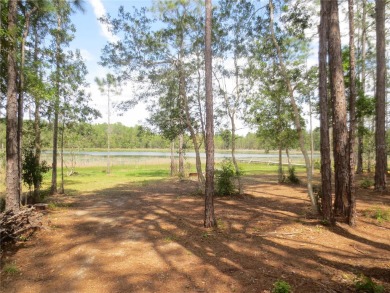 Tobe Lake Acreage For Sale in Silver Springs Florida