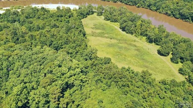 Jay, FL - 320.545+/- Acres on Escambia River - Outdoor - photo 31