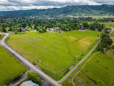 Discover a remarkable development opportunity spanning - photo 1