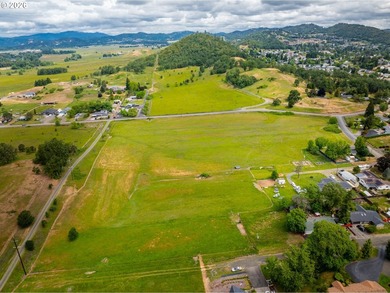 Discover a remarkable development opportunity spanning - photo 2