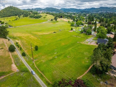 Discover a remarkable development opportunity spanning - photo 3