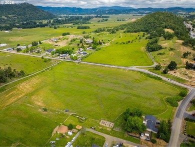 Discover a remarkable development opportunity spanning - photo 4