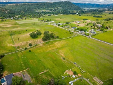 Discover a remarkable development opportunity spanning - photo 5
