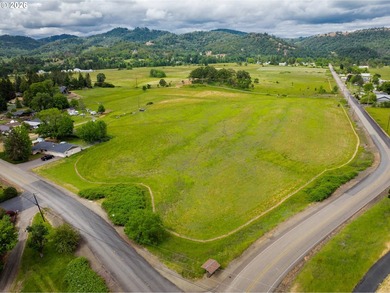 Discover a remarkable development opportunity spanning - photo 6