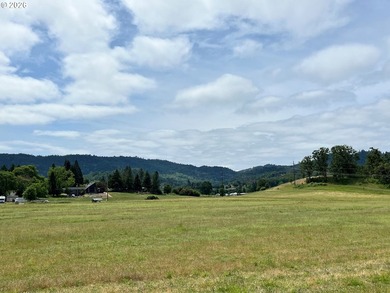 Discover a remarkable development opportunity spanning - photo 7