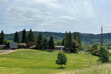 Discover a remarkable development opportunity spanning - photo 8