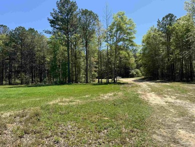 Jay, FL - 320.545+/- Acres on Escambia River - Outdoor - photo 50