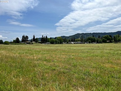 Discover a remarkable development opportunity spanning - photo 10