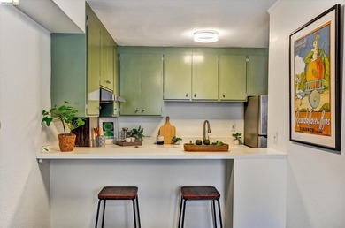 Here is the Oakland pied-a-terre you have been looking for - photo 19