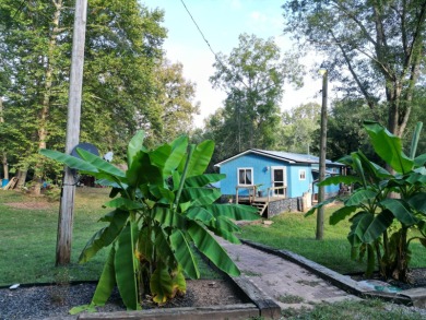 Lake Home For Sale in Elizabeth, West Virginia