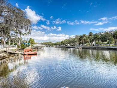 (private lake, pond, coastal) Home For Sale in New Port Richey Florida