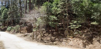 Lake Lot For Sale in Lake Arrowhead, California