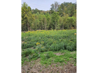 Ohio River Lot For Sale in South Point Ohio