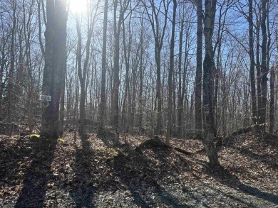 Eastman Pond Lot For Sale in Grantham New Hampshire
