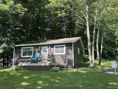 Lake Commercial For Sale in Marenisco, Michigan