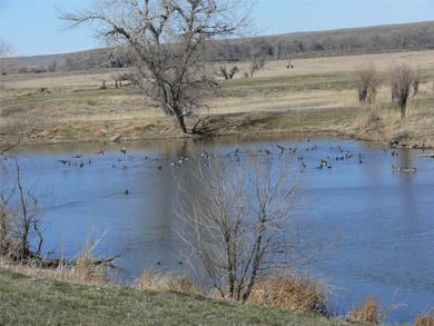 10 parcels of land with approximately. 4 1/2 miles of Missouri - photo 13