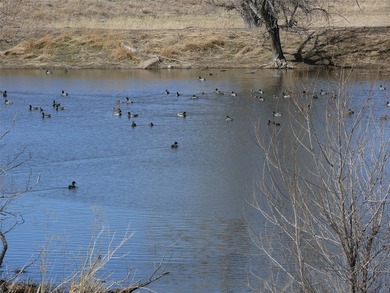 10 parcels of land with approximately. 4 1/2 miles of Missouri - photo 14