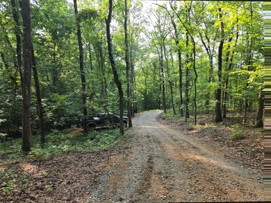 Discover 10.42+/- acres of Alabama beauty at 124 Ashwood Drive - photo 20