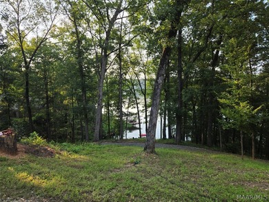 Discover 10.42+/- acres of Alabama beauty at 124 Ashwood Drive - photo 21