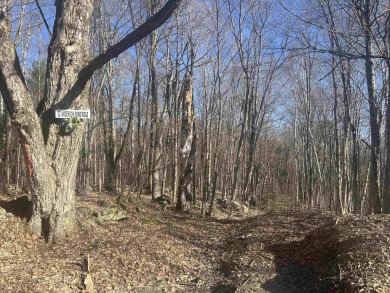 Anderson Pond Lot For Sale in Grantham New Hampshire