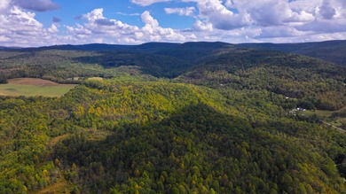 (private lake, pond, coastal) Acreage For Sale in Normalville Pennsylvania