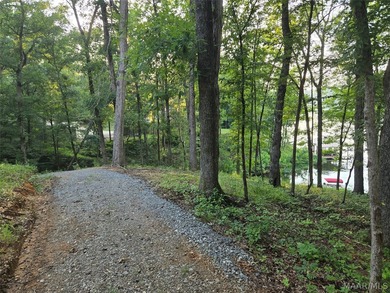 Discover 10.42+/- acres of Alabama beauty at 124 Ashwood Drive - photo 22
