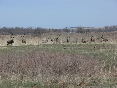 10 parcels of land with approximately. 4 1/2 miles of Missouri - photo 23