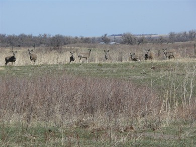 10 parcels of land with approximately. 4 1/2 miles of Missouri - photo 24