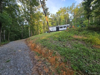 Discover 10.42+/- acres of Alabama beauty at 124 Ashwood Drive - photo 31
