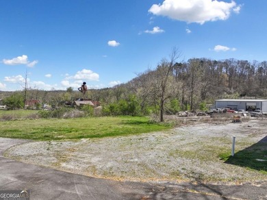 Over an acre Commercial Property, zoned (C-1 this district - photo 34