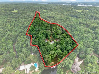 Discover 10.42+/- acres of Alabama beauty at 124 Ashwood Drive - photo 40