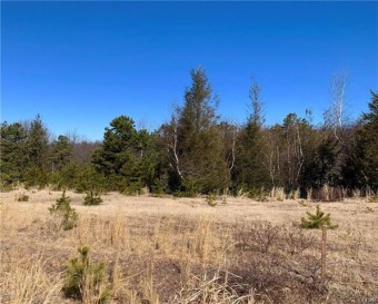 Lake Home For Sale in Hazleton, Pennsylvania