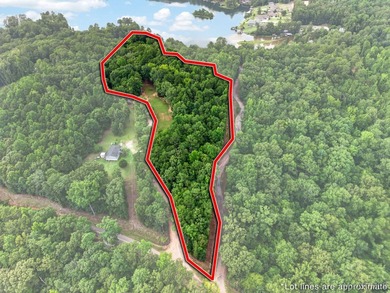 Discover 10.42+/- acres of Alabama beauty at 124 Ashwood Drive - photo 43
