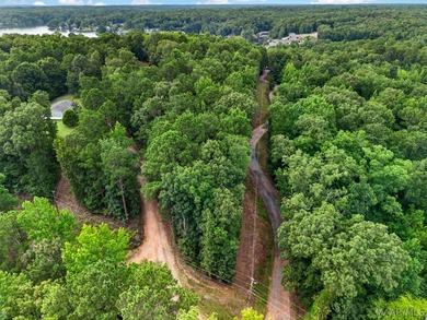 Discover 10.42+/- acres of Alabama beauty at 124 Ashwood Drive - photo 44