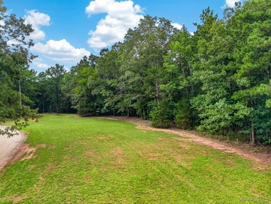 Discover 10.42+/- acres of Alabama beauty at 124 Ashwood Drive - photo 45