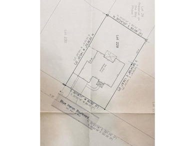 3202 Blue Heron Boulevard is a beautiful, spacious home in the - photo 46