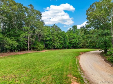 Discover 10.42+/- acres of Alabama beauty at 124 Ashwood Drive - photo 46