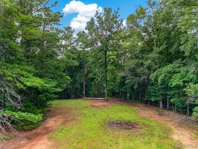 Discover 10.42+/- acres of Alabama beauty at 124 Ashwood Drive - photo 47