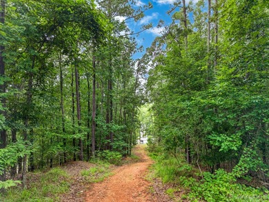 Discover 10.42+/- acres of Alabama beauty at 124 Ashwood Drive - photo 48