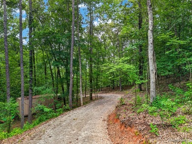 Discover 10.42+/- acres of Alabama beauty at 124 Ashwood Drive - photo 50