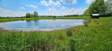 (private lake, pond, creek) Acreage For Sale in Preston New York