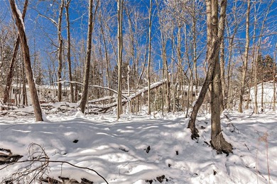 (private lake, pond, creek) Lot For Sale in Chagrin Falls Ohio