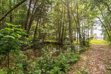There's a stretch of shoreline in Fairhope where the land opens - photo 11