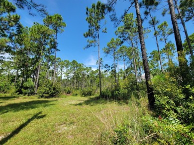 Lake Lot For Sale in Santa Rosa Beach, Florida