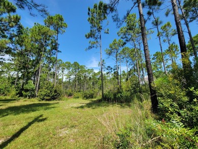 Discover a rare opportunity to own a spacious .4625-acre lot in - photo 2