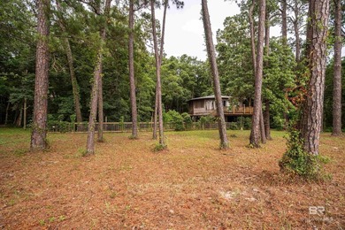 There's a stretch of shoreline in Fairhope where the land opens - photo 13