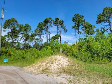 Discover a rare opportunity to own a spacious .4625-acre lot in - photo 3