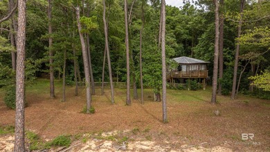 There's a stretch of shoreline in Fairhope where the land opens - photo 15
