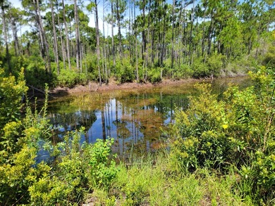 Discover a rare opportunity to own a spacious .4625-acre lot in - photo 5